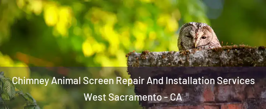  Chimney Animal Screen Repair And Installation Services West Sacramento - CA