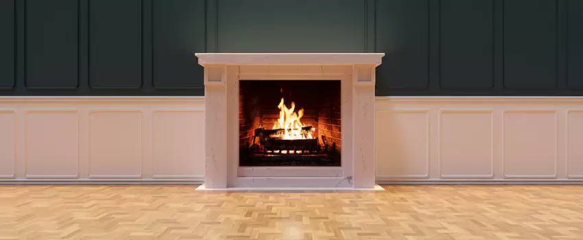 Napoleon Electric Fireplaces Inspection Service in West Sacramento, California
