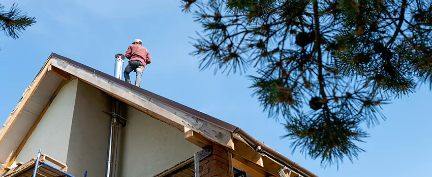 Birds Removal Contractors from Chimney in West Sacramento, CA