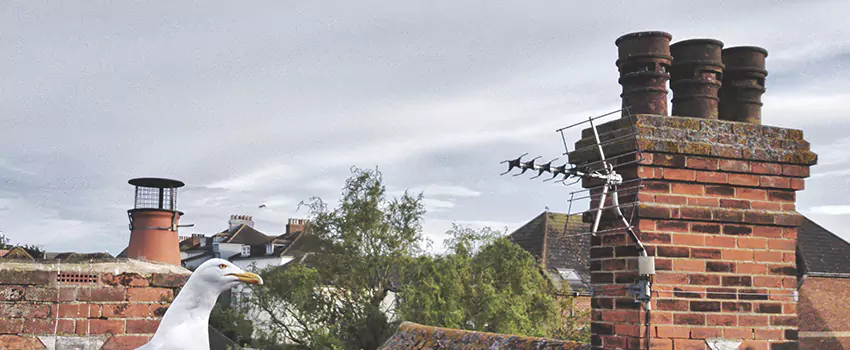 Chimney Cleaning And Restoration in West Sacramento, California
